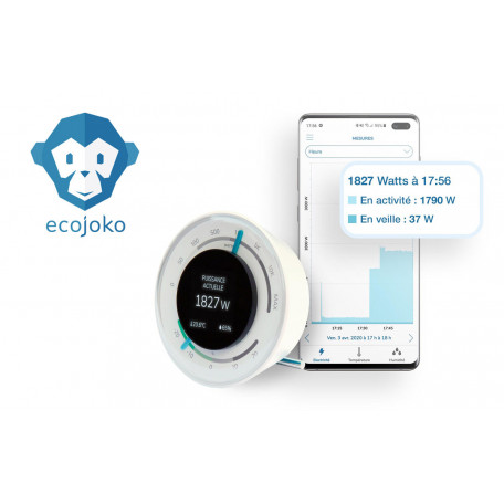 assistant-ecojoko-suivi-consommation assistant-ecojoko-suivi-consommation
