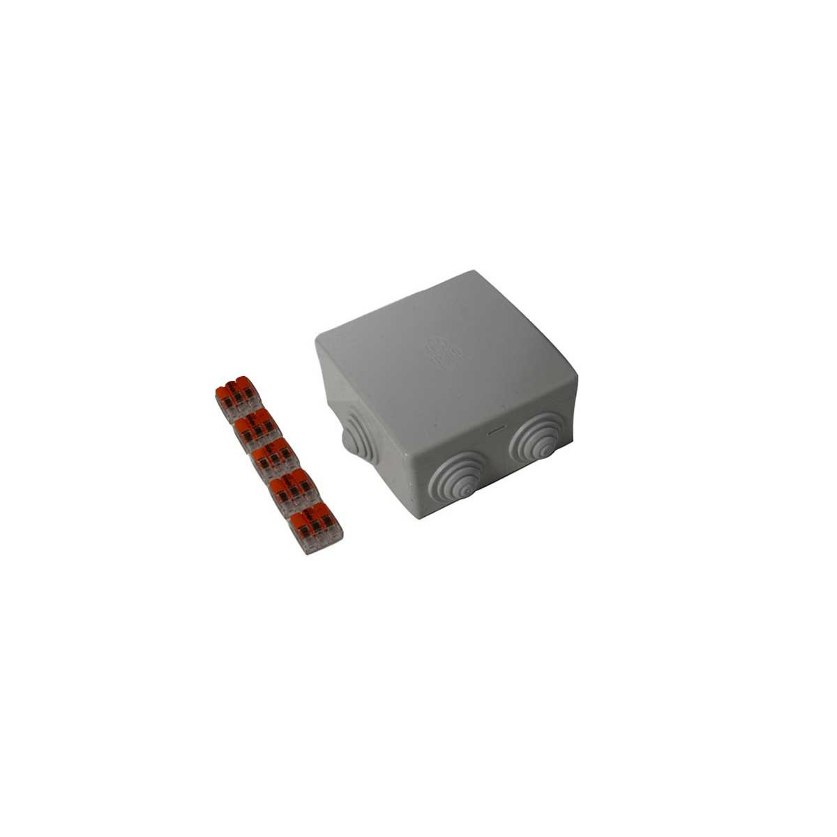 Boîtier de dérivation étanche IP65 + 5 wagos