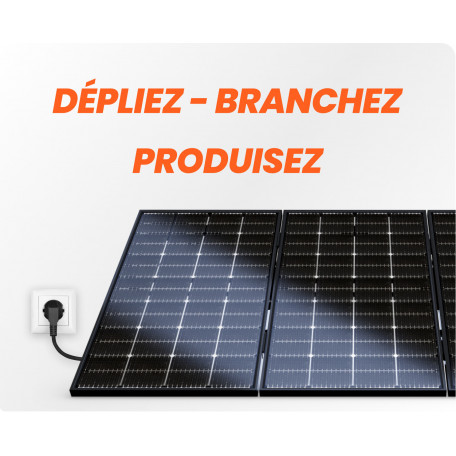 Station Solaire 1700 Wc 'Plug & Play' avec gestionnaire d'énergie