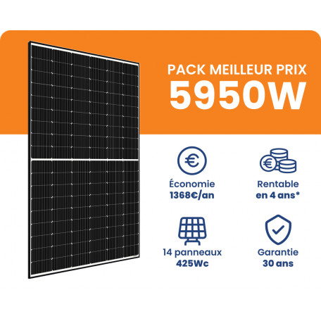 Kit Solaire 5950W Meilleur Prix - Micro onduleurs APS