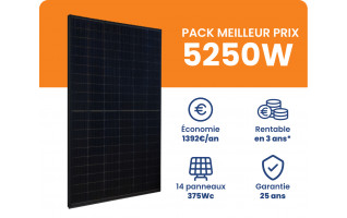 Kit Solaire 5250W Meilleur Prix - Micro onduleurs APS