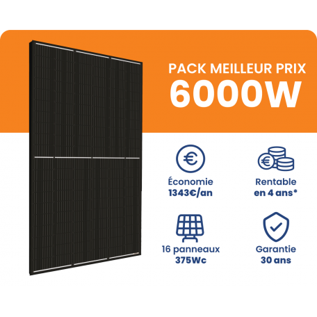 Kit Solaire 6000W Meilleur Prix - Micro onduleurs APS