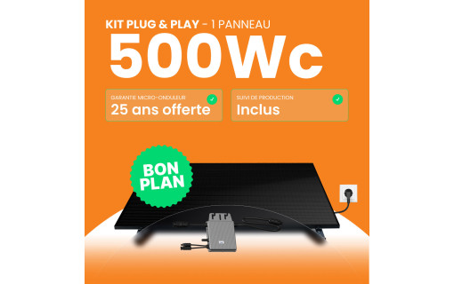 Kit solaire Plug & Play Amerisolar 500W
