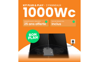 Kit solaire Plug & Play Amerisolar 1000W