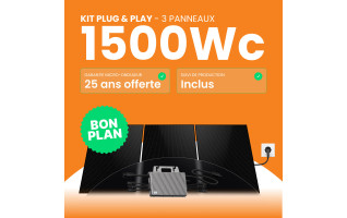 Kit solaire Plug & Play Amerisolar 1500W