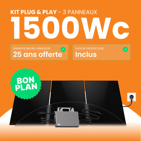 Kit solaire Plug & Play Amerisolar 1500W