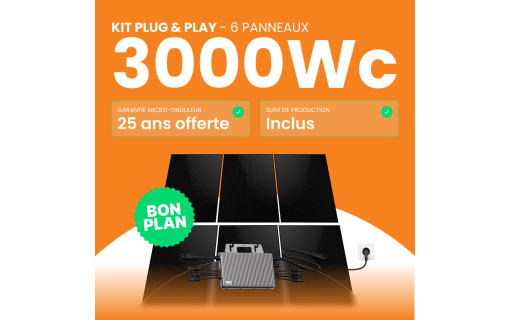 Kit solaire Plug & Play Amerisolar 3000W