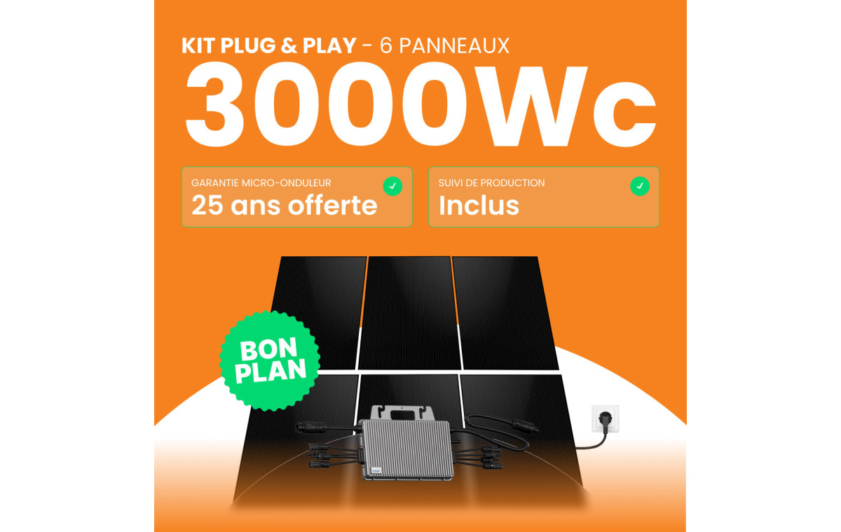 Kit solaire Plug & Play Amerisolar 3000W