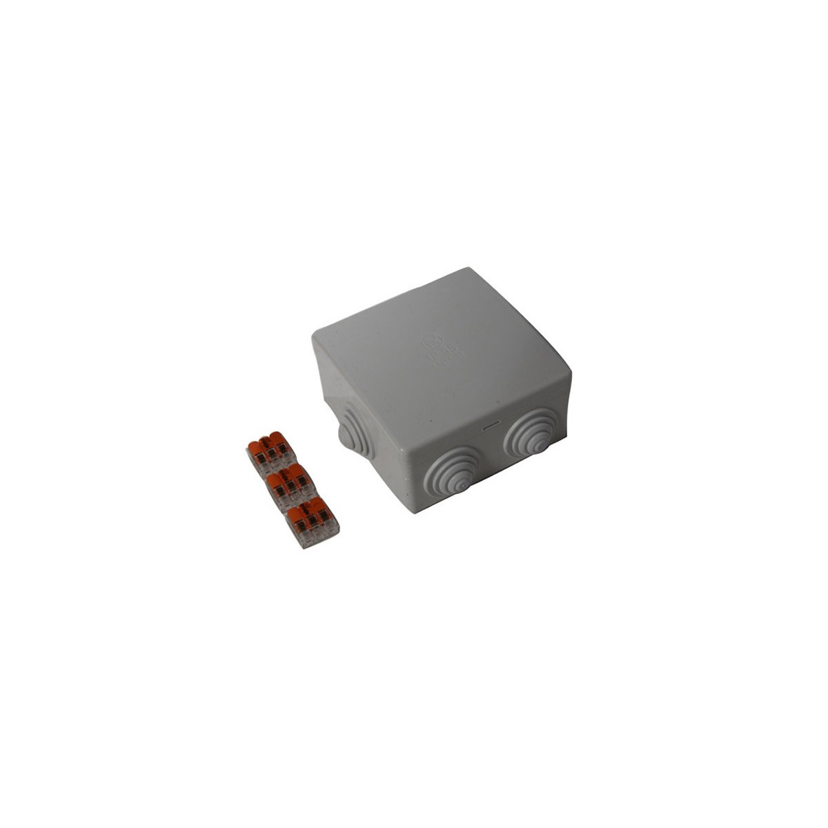 Boîtier de dérivation étanche IP65 + 3 wagos