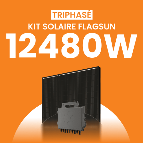 Kit Solaire Autoconsommation Flagsun 12480W Triphasé - Micro onduleurs APS