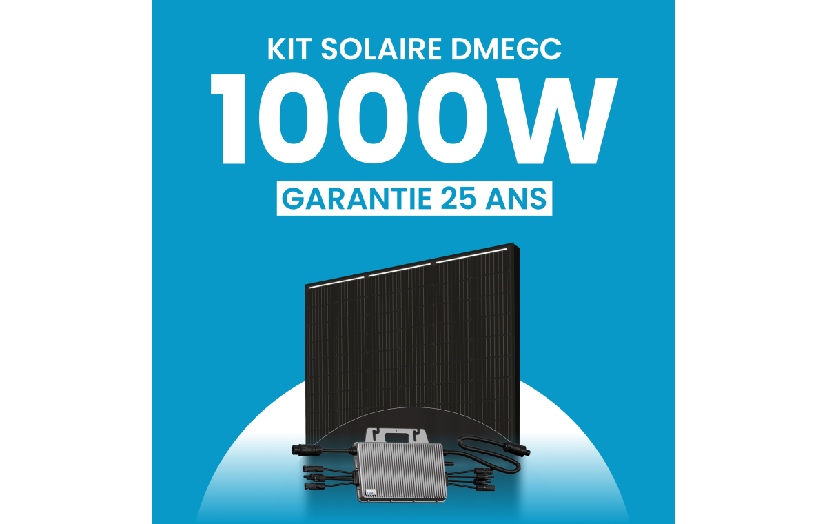 Kit solaire 1000W DMEGC – Micro-onduleurs TSUN