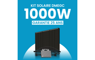 Kit solaire 1000W DMEGC – Micro-onduleurs TSUN