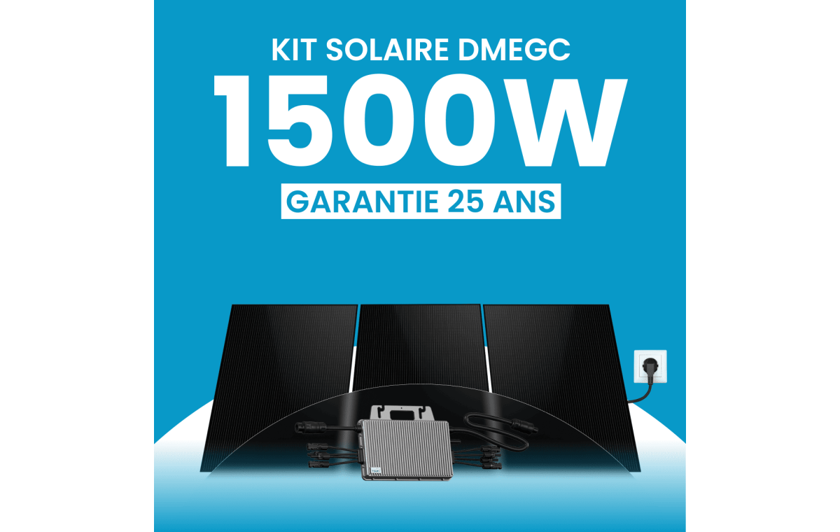 Kit solaire plug & play 1500W DMEGC – Micro-onduleur TSUN MS2000