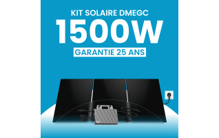 Kit solaire plug & play 1500W DMEGC – Micro-onduleur TSUN MS2000
