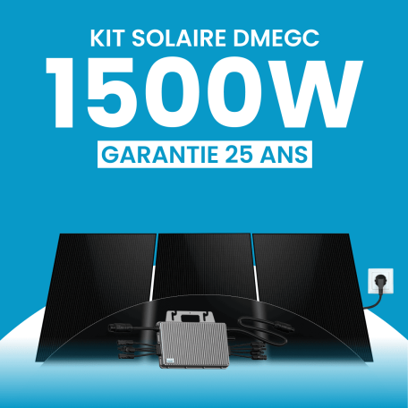Kit solaire plug & play 1500W DMEGC – Micro-onduleur TSUN MS2000