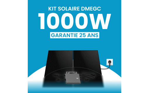 Kit solaire plug & play 1000W DMEGC – Micro-onduleur TSUN MX1000