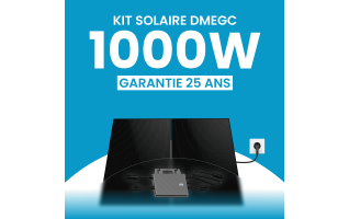 Kit solaire plug & play 1000W DMEGC – Micro-onduleur TSUN MX1000