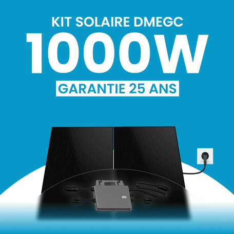 Kit solaire plug & play 1000W DMEGC – Micro-onduleur TSUN MX1000