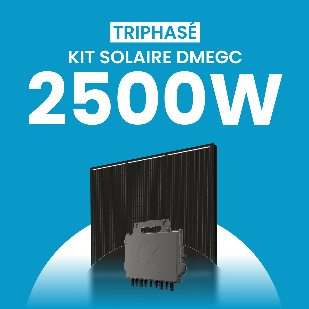 Kit solaire 2500W DMEGC – Micro-onduleurs QT2 Triphasé
