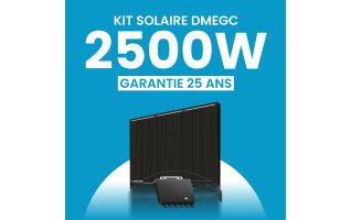 Kit solaire 2500W DMEGC – Micro-onduleurs TSUN
