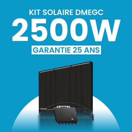 Kit solaire 2500W DMEGC – Micro-onduleurs TSUN