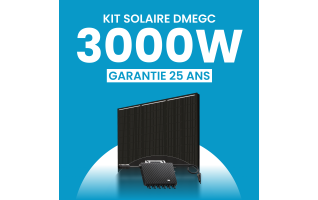 Kit solaire 3000W DMEGC – Micro-onduleurs TSUN