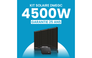 Kit solaire 4500W DMEGC – Micro-onduleurs TSUN