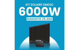 Kit solaire 6000W DMEGC – Micro-onduleurs TSUN