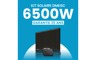Kit solaire 6500W DMEGC – Micro-onduleurs TSUN