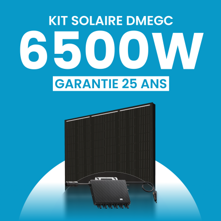 Kit solaire 6500W DMEGC – Micro-onduleurs TSUN