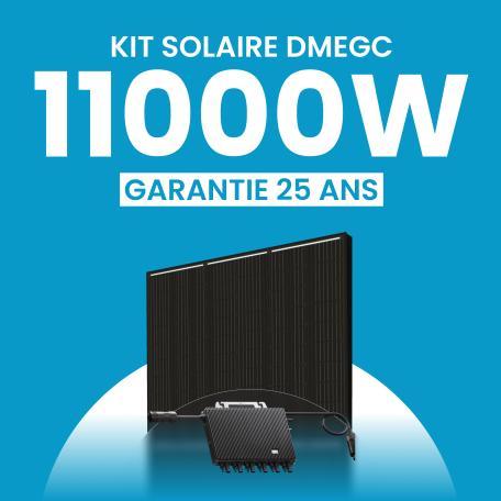 Kit solaire 11000W DMEGC – Micro-onduleurs TSUN