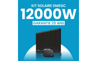 Kit solaire 12000W DMEGC – Micro-onduleurs TSUN