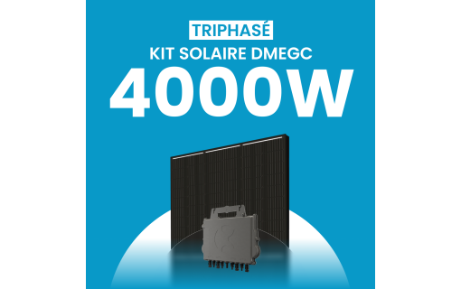 Kit solaire 4000W DMEGC – Micro-onduleurs QT2 Triphasé