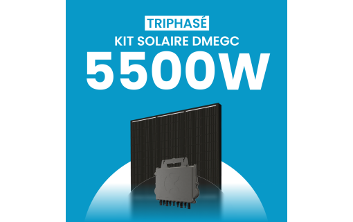 Kit solaire 5500W DMEGC – Micro-onduleurs QT2 Triphasé
