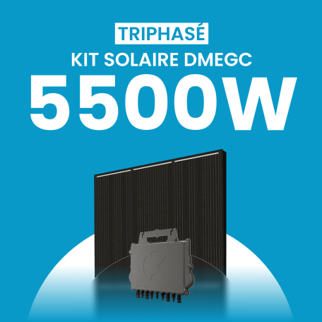 Kit solaire 5500W DMEGC – Micro-onduleurs QT2 Triphasé