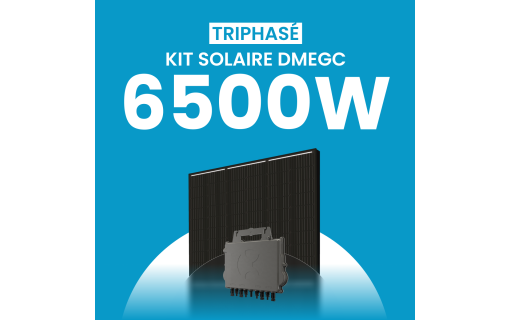 Kit solaire 6500W DMEGC – Micro-onduleurs QT2 Triphasé
