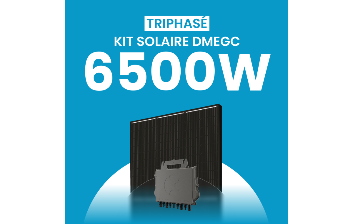 Kit solaire 6500W DMEGC – Micro-onduleurs QT2 Triphasé