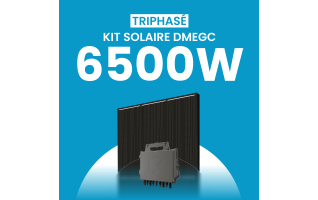 Kit solaire 6500W DMEGC – Micro-onduleurs QT2 Triphasé