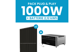 Kit 1000W DMEGC - Batterie Marstek Venus A