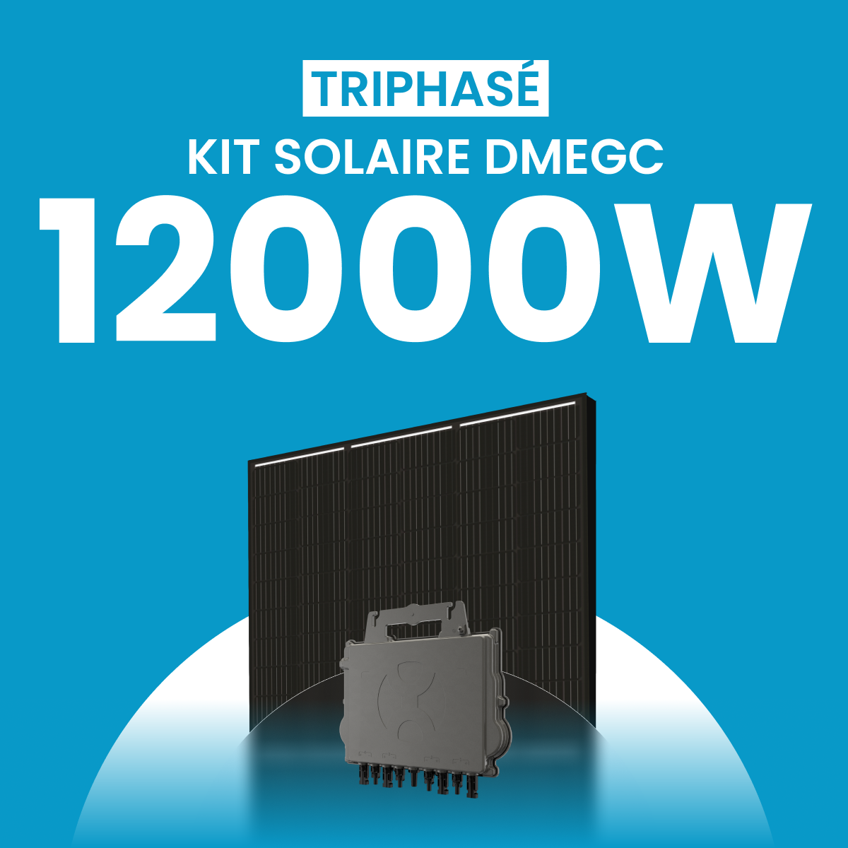 Kit solaire 12000W DMEGC – Micro-onduleurs QT2 Triphasé
