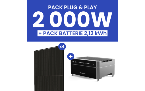 Kit solaire 2000W DualSun avec batterie Marstek Venus A