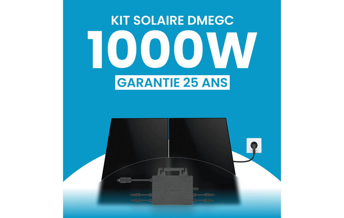Kit solaire plug & play 1000W DMEGC – Micro-onduleur SOSSEN 1000