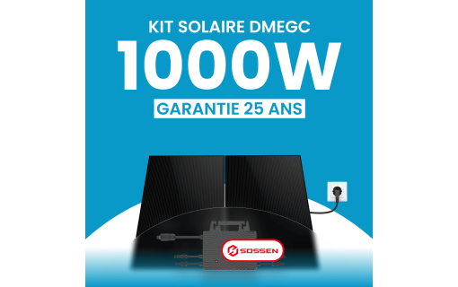 Kit solaire plug & play 1000W DMEGC – Micro-onduleur SOSSEN 1000
