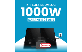 Kit solaire plug & play 1000W DMEGC – Micro-onduleur SOSSEN 1000
