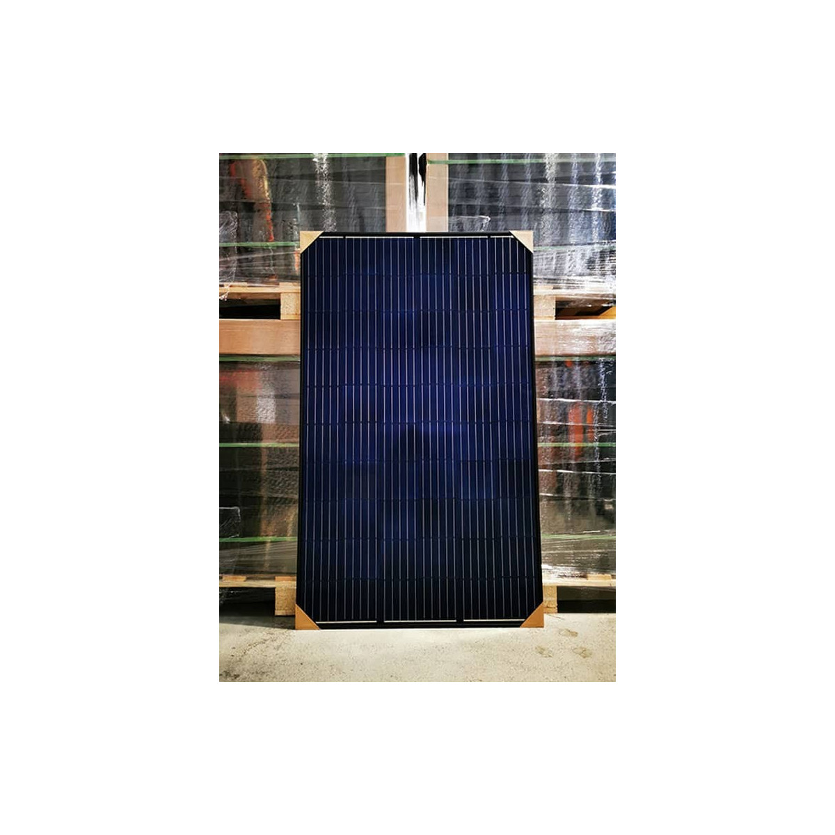 Panneau solaire Amerisolar 340Wc polycristallin