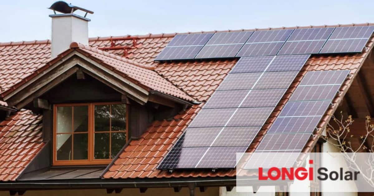 Longi-Solar Avis