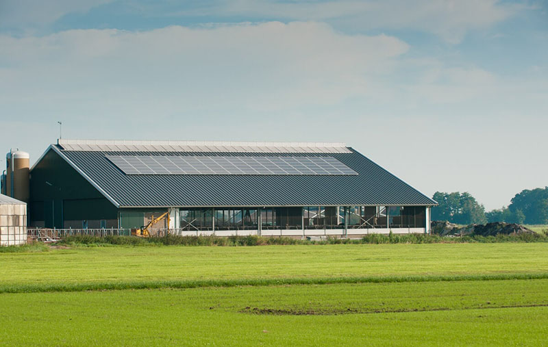 Entreprises bâtiments agricoles panneaux solaires