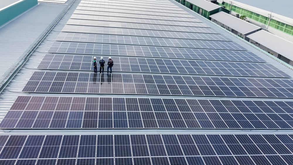 Professionnels qui installe des panneaux solaires à grande échelle