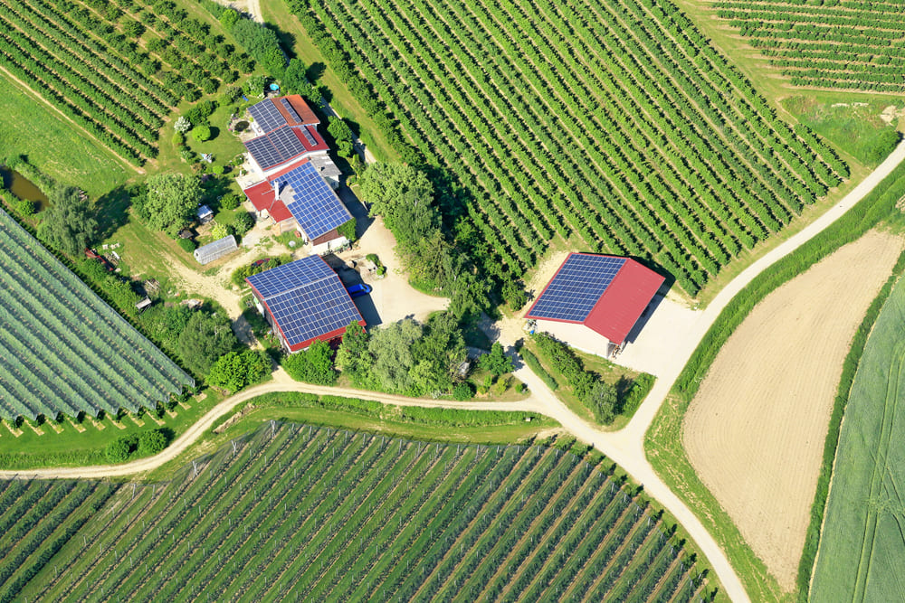 Installation de panneaux solaires sur des maisons rurales