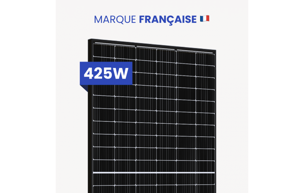 panneau solaire dualson black friday